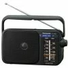 Panasonic TRAGBARES RADIO NETZ&BATTERIE (RF-2400DEG-K SW)